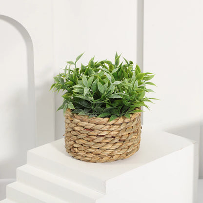 Plante artificielle eucalyptus en pot tressé – Déco zen 11 cm fait main