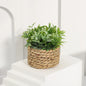 Plante artificielle eucalyptus en pot tressé – Déco zen 11 cm fait main
