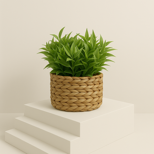 Plante artificielle eucalyptus en pot tressé – Déco zen 11 cm fait main